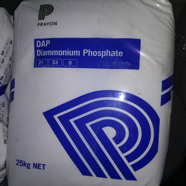 Di Amonyum Fosfat (NH₄)₂HPO₄ – Prayon – 25 kg - 1